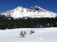 photo 2.jpg