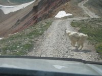 IMG_4935.jpg
