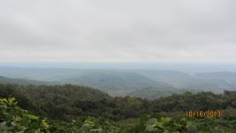 IMG_0202.jpg