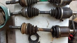 IMG_20130924_163545_006.jpg