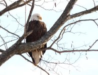 IMG_0503-2.jpg