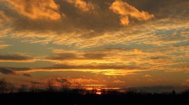 IMG_0540-1x25.jpg