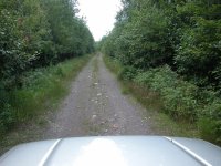 DSCN2050.jpg