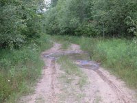 DSCN2051.jpg