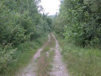 DSCN2052.jpg