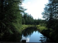 DSCN2066.jpg