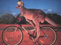 Kangaroo-On-A-Bike.jpg Kangaroo-On-A-Bike.jpg