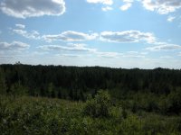 DSCN2129.jpg DSCN2129.jpg