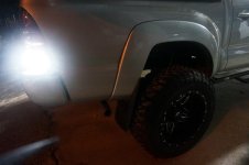 hid rear.jpg