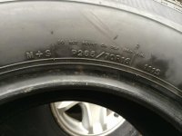 IMG_10091.jpg