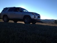IMG_1185.jpg