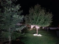 lights test 3.jpg
