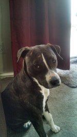 IMG_20130503_173808_408.jpg