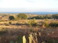 Klett Ranch View.jpg