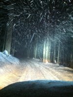 IMG_3558.jpg IMG_3558.jpg