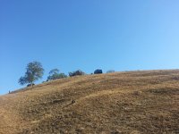 wv hill 10.jpg