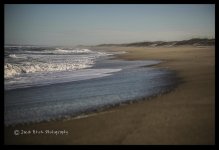 beached.jpg
