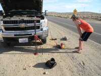 31.jpg