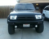 mounted fogs.jpg
