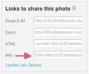 photobucket link options.jpg