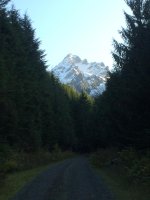 IMG_5876.jpg