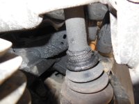 DSCN5901.JPG