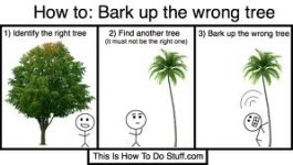 barking up.jpg