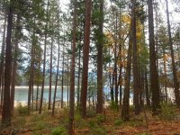 bass lake 11.jpg