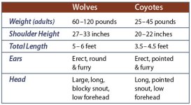 WolfCoyoteChart.jpg WolfCoyoteChart.jpg