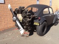 radial bug.jpg