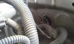 20140425_154131.jpg