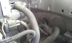 20140425_154123.jpg