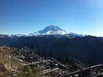 IMG_2460.jpg