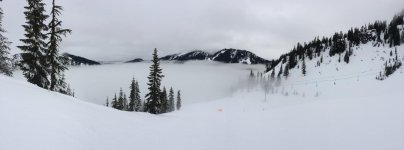 IMG_6289.jpg