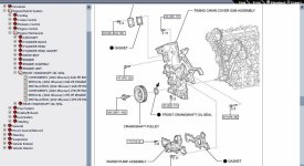 Timing Chain cover.JPG
