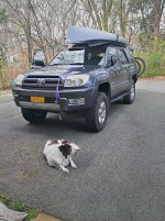 4Runner and Genevieve.jpg