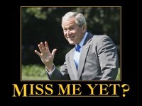 Bush.jpg Bush.jpg