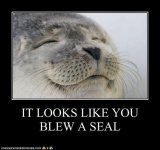 blew a seal.jpg