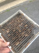 dirty cabin filter.jpg