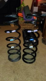 coils.jpg