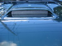 img_0366.jpg
