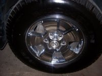 wheels6.jpg