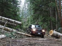 off-roading(31).jpg