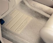 catch_all_floor_mats_beige.jpg