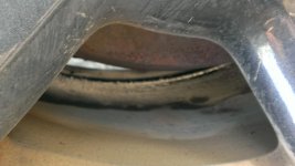 IMAG0689.jpg