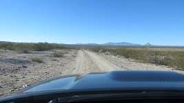 IMG_1098.jpg