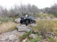 Polaris on top of rock.jpg
