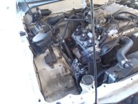 Engine Bay.jpg
