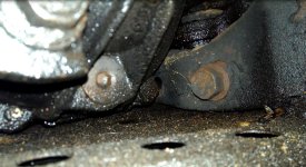 skidplate1.jpg