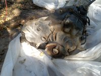 transfer case.jpg